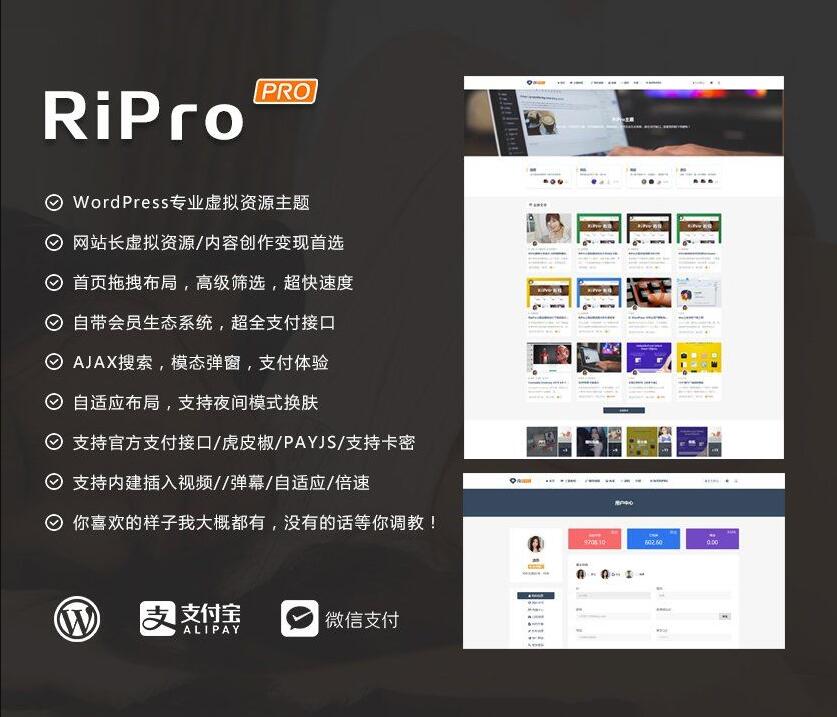 【优选源码】WordPress主题RiPro v8.6 无限制版